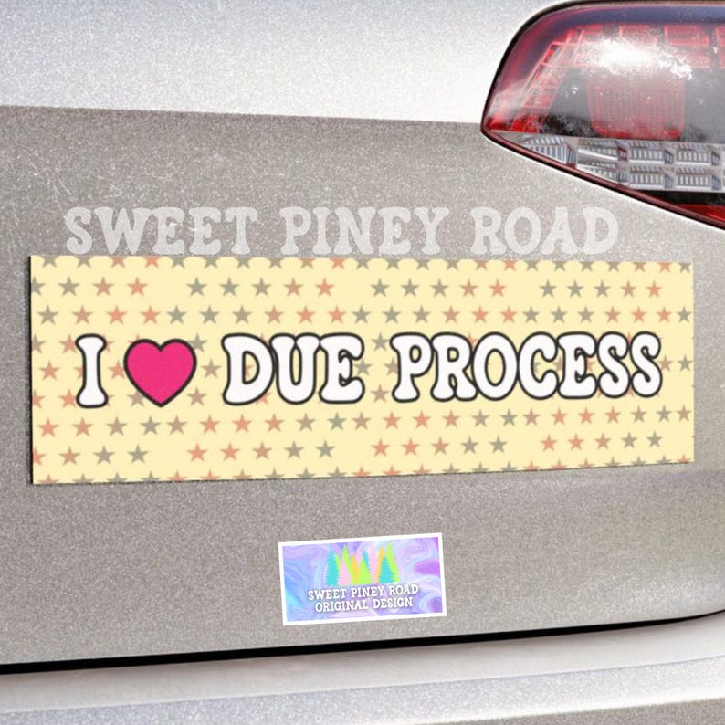 I Love Due Process Bumper Sticker/car Magnet, ACAB Abolish ICE, Pro ...