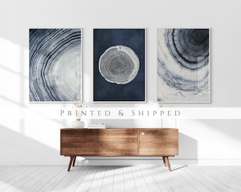 Boho Tree Rings Set of 3 Prints, Neutral Navy Blue Wall Art, Abstract Minimalist Modern Art, 3 Panel Print Set, Japandi Stump Prints