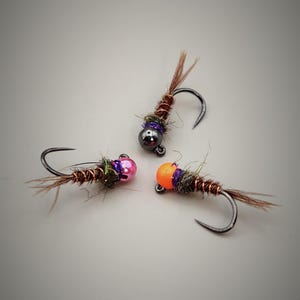 Paquete de 3 ninfas europeas Frenchie de Fuller