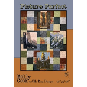Panel Pattern - Picture Perfect Pattern by Villa Rosa Designs