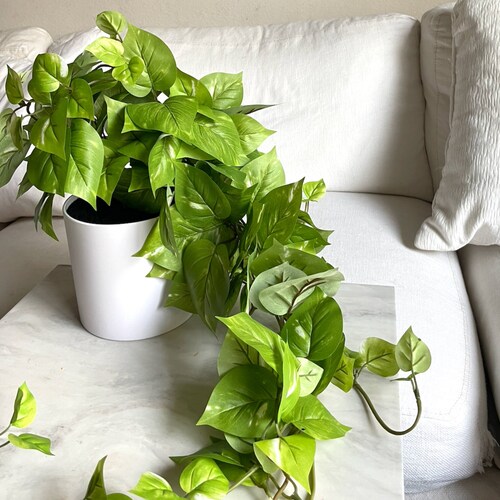 30in. Realistic Fake Pothos Plant With Removable White Pot Etsy
