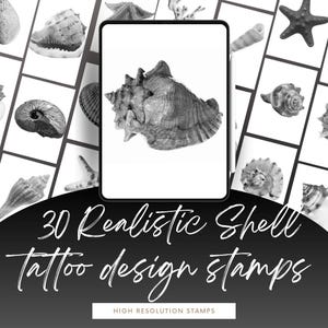 30 Realistic Shell Procreate Stamps for Tattoo Artists - Large High-Res