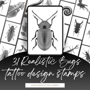 31 Realistic Bug Procreate Stamps for Tattoo Artists - Large High-Res
