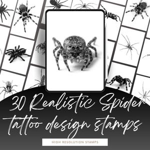 30 Realistic Spider Procreate Stamps for Tattoo Artists - Large High-Res