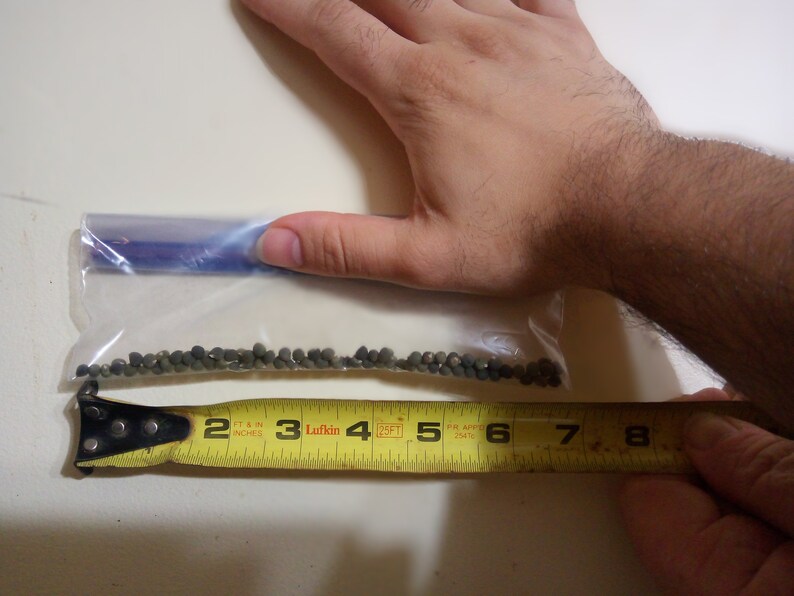 Heavy Hitter Okra Seeds Etsy