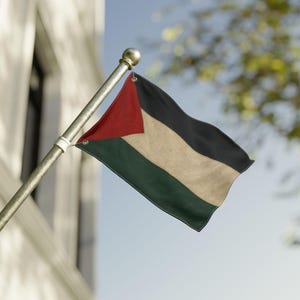 Double Sided Palestine Flag: Outdoor Indoor Palestinian Pride