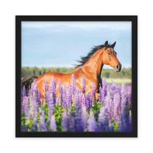 Framed Poster, Horizontal