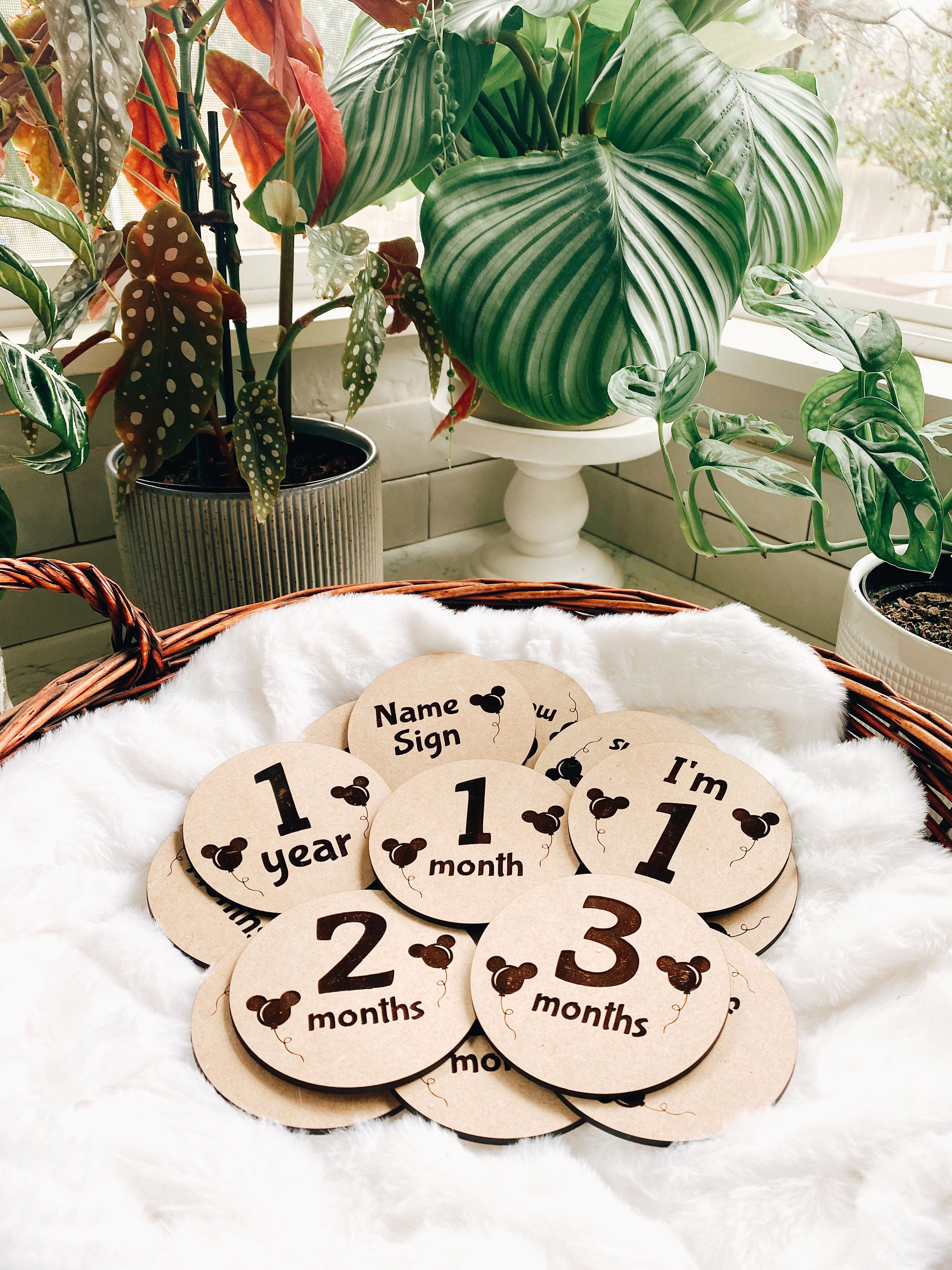 Disney Mickey Monthly Milestone Markers Birth Announcement Newborn ...