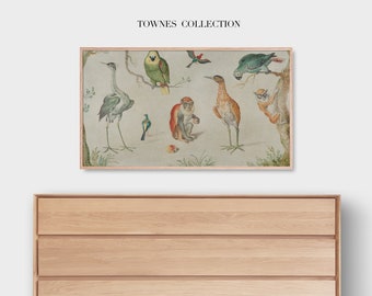 Study of Birds and Monkeys | Samsung Frame TV Art | Rare Art DIGITAL Painting