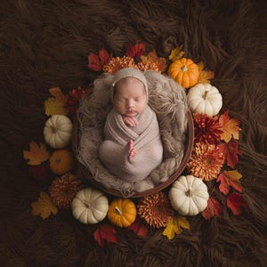 Può includere: Un neonato avvolto in una coperta beige sta dormendo in una ciotola di legno circondata da foglie autunnali, tra cui zucche arancioni e bianche, foglie rosse e arancioni e fiori arancioni e gialli.