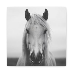 Elegant Horse Close-Up Canvas, Black and White Equine Art,Horse Wall Art, Black and White Wall Art, Horse Canvas, Equine Home Decor