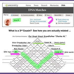 Cousin Chart - Etsy