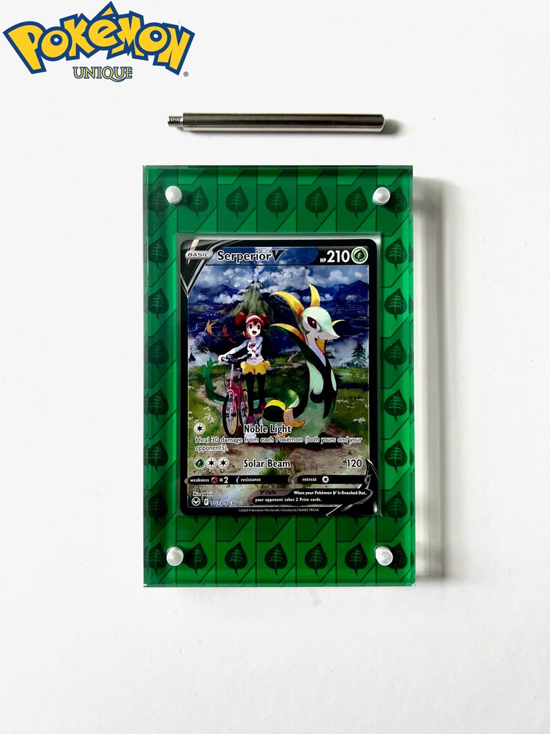 Pokemon Card Frame Display PSA Card Display Case