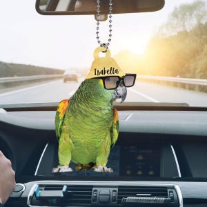 Parrot Bird Personalized Ornament, Hanging Ornament Parrot Owner, Parrot Lover, Bird Lover, Bird Watching Xmas Gift,2D Flat Acrylic Ornament