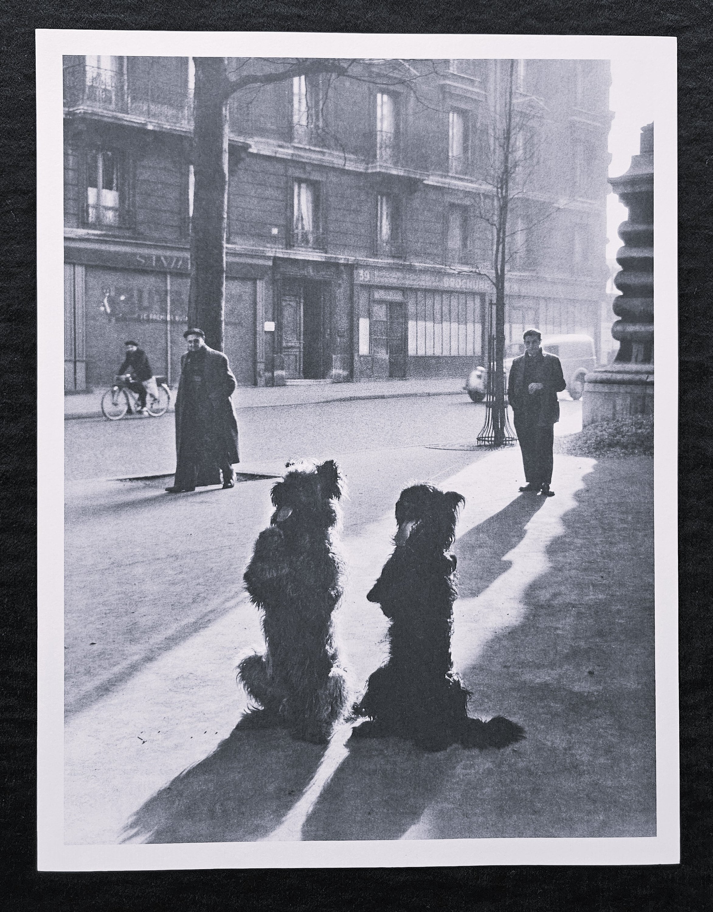 Buy Robert Doisneau 