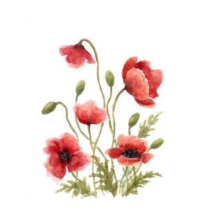 Poppy Painting Poppy Art Print from Original Watercolor Painting Red Poppy Flower Print Watercolor Flowers Wall Art by MikashArt