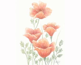 California Poppy Flower Art Print From Watercolor Painting Floral Wall Art Poppy Print by MikashArt