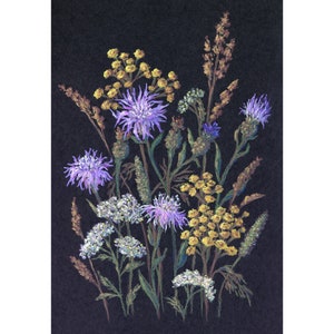 Thistle Painting Wildflowers Art Print Meadow Flowers Oil Pastel Painting Floral Wall Art Botanical Artwork Wildflower Print by MikashArt