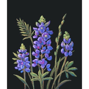 Bluebonnet Texas Painting Wildflower Art Print Texas Landscape Bluebonnet Fields National Park Texas Hill Country Farmhouse Art by MikashArt