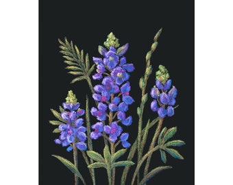 Pintura de Texas con flores silvestres Bluebonnet Impresión artística Paisaje de Texas Parque nacional Bluebonnet Fields Arte de granja en Texas Hill Country de MikashArt
