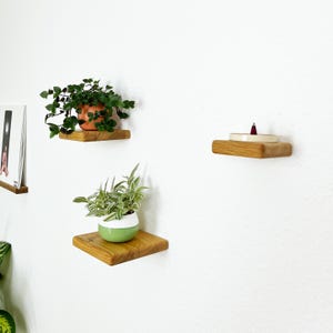 Könnte beinhalten: Drei kleine, quadratische, schwebende Holzregale an einer weißen Wand. Jedes Regal trägt einen anderen Gegenstand: eine Topfpflanze, eine kleine Pflanze in einem grün-weißen Topf und einen Keramik-Räucherstäbchenhalter mit einem Räucherkegel.