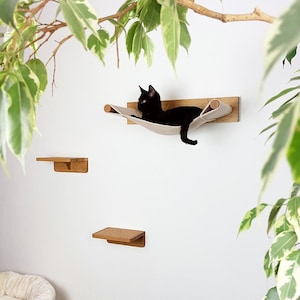 Pode incluir: Um gato preto relaxando em uma rede bege presa a uma prateleira de parede de madeira. Duas prateleiras de madeira adicionais estão montadas na parede abaixo da rede.