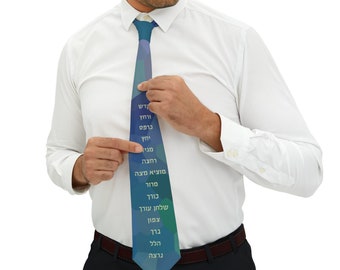 Seder Passover Pesach Necktie Seder Order Passover design men's tie Pesach Happy Pesach Matza Fun Tie Jewish teacher gift