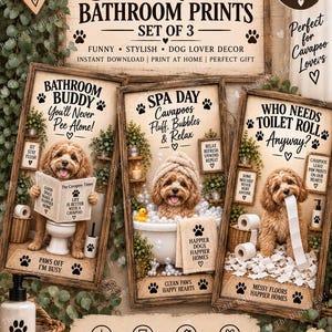 May include: A set of three Cavapoo bathroom prints featuring brown curly-haired dogs in humorous scenes. One dog sits on a toilet reading a newspaper, another sits in a bubble bath with a towel on its head, and the third plays with toilet paper.