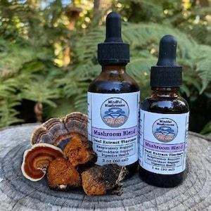 May include: Two glass dropper bottles of Mindful Mushrooms Mushroom Blend tincture, 2 oz and 1 oz, with labels. The bottles are next to dried mushrooms on a wooden surface. The labels list benefits.