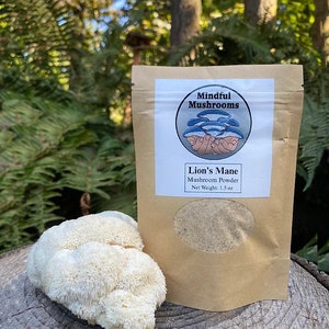 Organic Lions Mane Mushroom Powder, 100% Fruiting Bodies, Anxiety Relief, Clarity Support, Nerve Repair, Health and Wellness