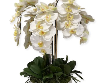 Faux Orchid Arrangement
