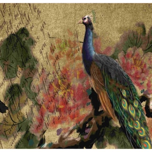 peacock Bird rice paper A4 - A3 rice paper for decoupage Unique rice papers