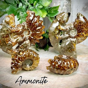 Ammonite Fossil, Ammonite Lizard Carving, Ammonite Fossil Specimen, Ammonite Fossil Carving (SET#3)