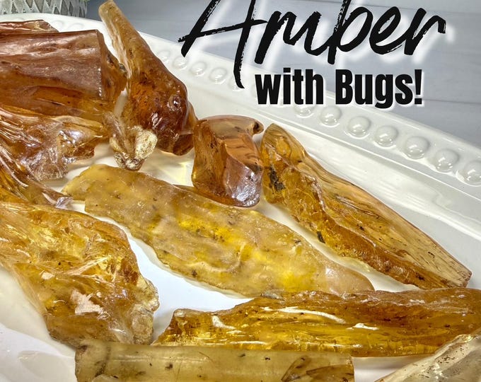 Amber Specimen with Bugs, Amber Freeform with Insect Inclusion, Natural Amber Specimen (Set4)