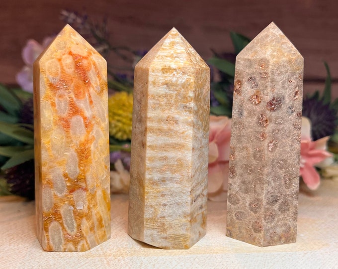 Fossil Coral Tower, Coral Fossil Tower, Agatized Coral, Agatized Coral Tower