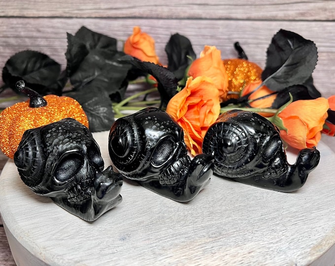Black Obsidian Skull Snail Carving, Skull on Snail Carving, Black Obsidian Snail Carving, Polished Carving, Halloween Crystal Carving