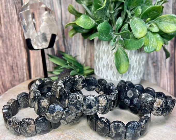 Black Fossil Coral Soft Bangle Bracelet, Fossilized Coral Bracelet, Coral Fossil Bracelet, Agatized Coral Bracelet