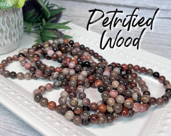 Petrified Wood Bracelet, Petrified Wood Bracelet, Fossilized Wood, Crystal Bracelet, 8mm Round Beads