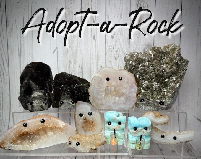 Adopt-A-Rock!  Adorable Crystal Pet, Crystal Companion, Crystal Buddy, Crystal Hedgehog, Emotional Support Desk Pet (5)