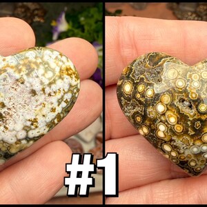 May include: Two heart-shaped stones with unique patterns. One features a mix of white, green, and brown hues, while the other displays a pattern of brown and yellow circles. The stones are held in a hand.