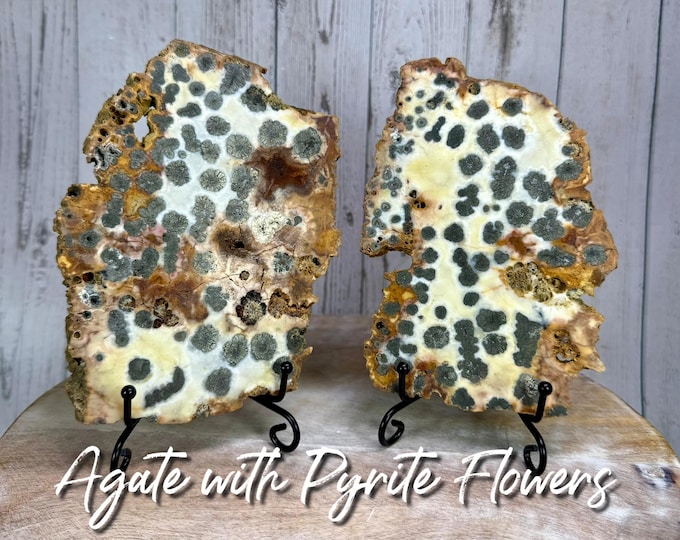 Agate with Copper Pyrite Flowers Slab, Agate Slice with Pyrite Inclusions, Copper Pyrite Flowers in Agate Slab with *Free Slab Stand*
