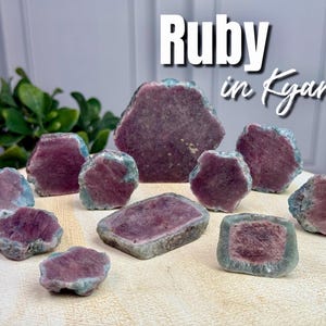 May include: A collection of raw ruby in kyanite mineral specimens featuring deep magenta centers surrounded by blue-green edges. The stones vary in shape and size, with some pieces being flat and others more rounded. The text Ruby in Kyanite is visible.