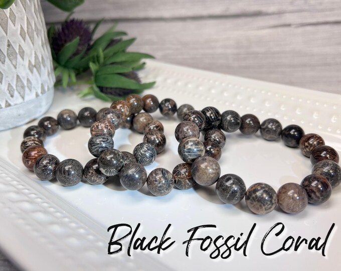 Black Fossil Coral Bracelet, Fossilized Coral, Black Coral Fossil, Agatized Coral, 12-13mm Round Beads