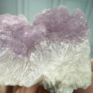 May include: Close-up of a natural mineral specimen. The top portion is a soft purple hue, transitioning to a white, crystalline base. The texture is rough and uneven, with visible crystal formations.