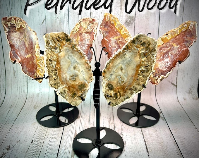 Petrified Wood Butterfly Wings, Petrified Wood Slabs, Petrified Wood Crystal Butterfly Wings with Custom Metal Stand