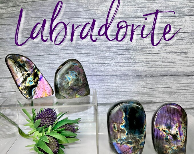 Labradorite Freeform, Purple Flash Labradorite, Rainbow Flash Labradorite, The Stone of Transformation and Change (LLL#4)