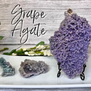 May include: Three grape agate specimens on a white plate. The largest specimen is on a black stand. The text "Grape Agate" is written in black cursive above the specimens.