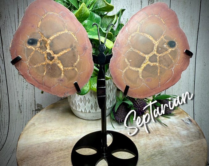 Septarian Nodule Butterfly Wings, Dragon Stone, Septarian Geode from Morocco, Septarian Crystal Butterfly Wings with Custom Metal Stand (sm)
