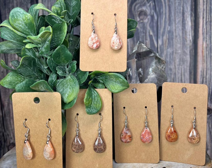 Fossil Coral Earrings, Coral Fossil Earrings, Agatized Coral Earrings, Crystal Dangle Earrings, Coral Earrings, 925 Silver (1)
