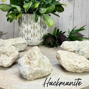May include: A collection of rough, light-colored hackmanite stones arranged on a wooden surface. The stones vary in size and shape, with visible texture and subtle color variations. The word "Hackmanite" is written in a script font.